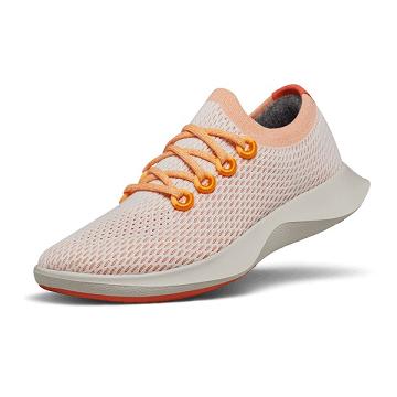 Allbirds Tree Dasher 1 Donna Scarpe Running Rosa Grigie | IT4472DN