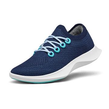 Allbirds Tree Dasher 1 Uomo Scarpe Running Blu Bianche | IT4890UT