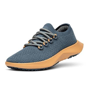 Allbirds Tree Dasher 2 Donna Scarpe Running Blu Gialle | IT4435BC