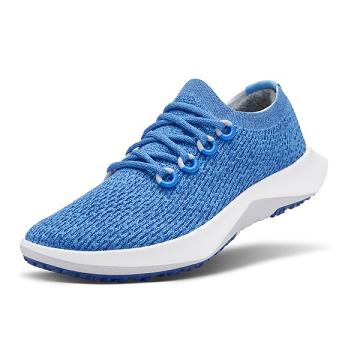 Allbirds Tree Dasher 2 Donna Scarpe Running Blu | IT4439ZG