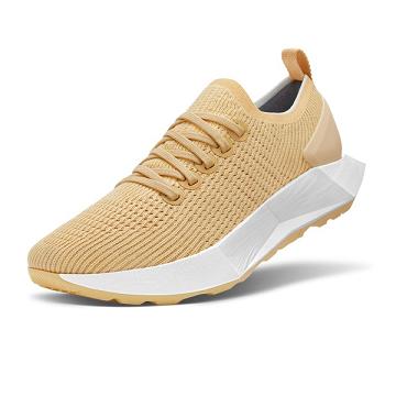 Allbirds Tree Flyers Uomo Scarpe Running Beige | IT4874HK