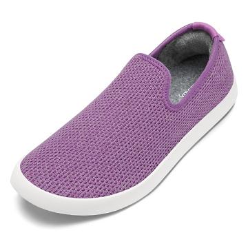 Allbirds Tree Loungers Lux Donna Scarpe Slip On Viola | IT4544LH